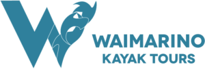 Blue Kayak Tours Horizontal Logo